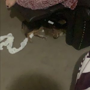 Meet your Posher, Devin